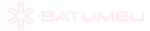 Our work on Batumbu in Develop their backend with Golang development